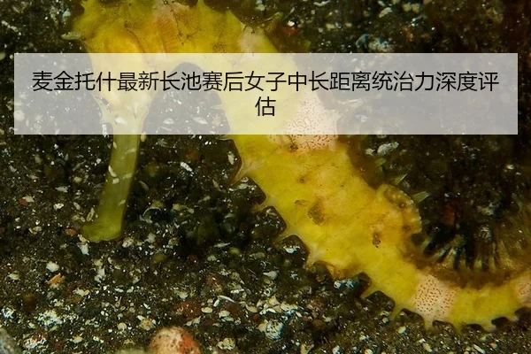 mai-jin-tuo-shen-zui-xin-zhang-chi-sai-hou-nv-zi-zhong-chang-ju-li-tong-zhi-li-shen-du-ping-gu-2-749.jpg